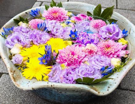 カラフルな花手水 花びら,フラワー,自然の写真素材