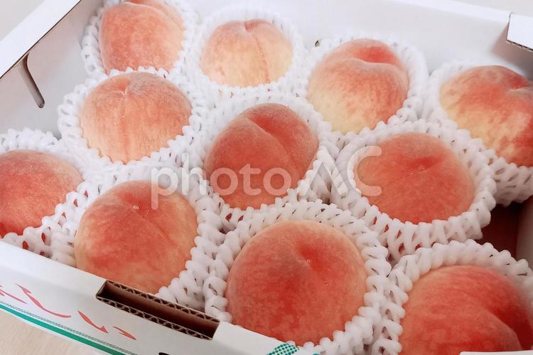 【桃・モモ】果物・ふるさと納税・定期便 桃,モモ,ピーチの写真素材