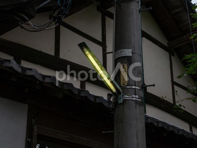 裏通りの街灯 街灯,蛍光灯,街並みの写真素材