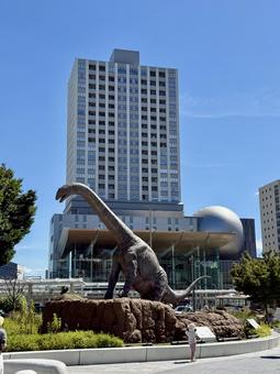 夏の福井駅前のビル街 駅ビル,街並み,恐竜広場の写真素材