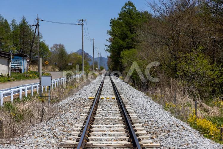 真っすぐに伸びた線路 線路,鉄道,レールの写真素材