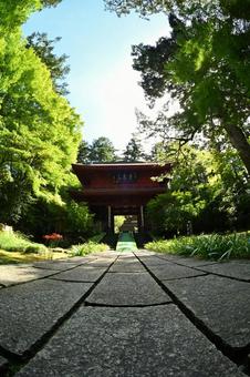 東香山大乘寺 緑,日本,屋外の写真素材