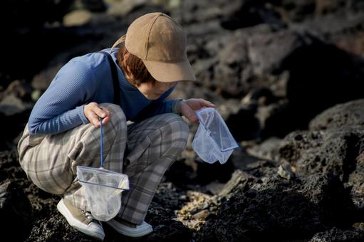 ＜素材＞磯でガサガサ（小魚捕獲）する女性 女性,磯遊び,海の写真素材