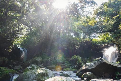 熊本県　夏の夫婦滝 熊本県,熊本,九州の写真素材