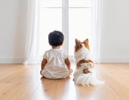 窓を見る赤ちゃんと犬の後ろ姿 窓を見る赤ちゃんと犬の後ろ姿の写真