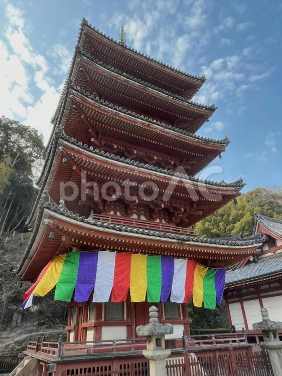 【風景写真】明王院の風景 風景,自然,風景写真の写真素材