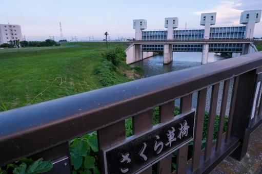 さいたま市 さくら草橋の風景 さくら草橋,サクラソウ公園,秋ヶ瀬公園の写真素材