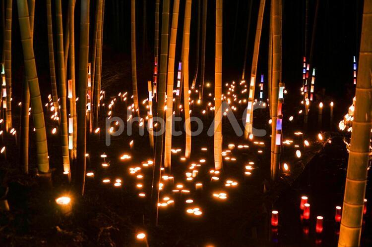 竹林の小径ライトアップ（小机城址市民の森） 竹林,ライトアップ,日本文化の写真素材