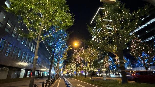 大阪御堂筋の銀杏のイルミネーション 大阪御堂筋の銀杏のイルミネーション イルミネーション,キラキラ,ライトアップの写真素材