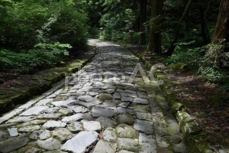 大神山神社へと続く石畳 石畳,参道,道の写真素材
