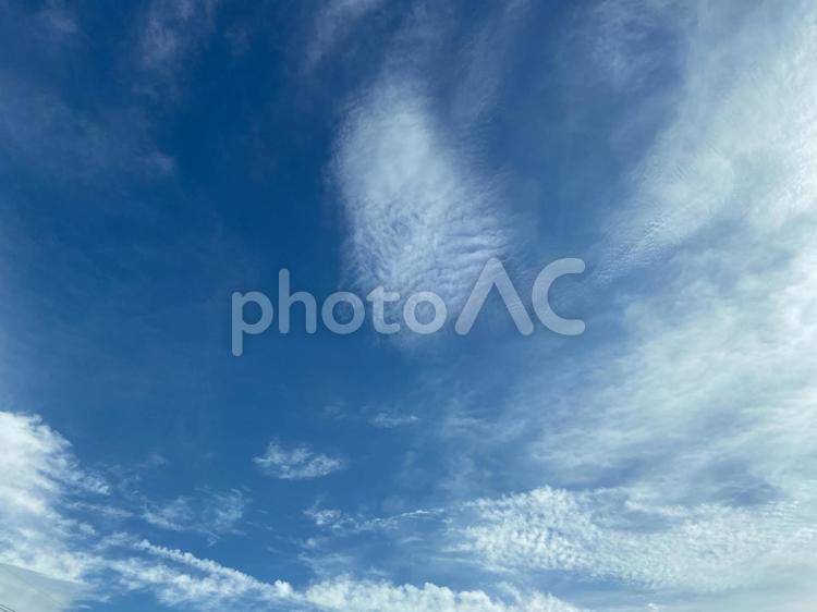 涼しい秋の朝の空 秋空,空,青いの写真素材