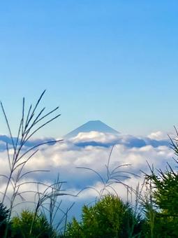 雲海に浮かぶ富士山② 雲海に浮かぶ富士山② 富士山,雲海,山の写真素材