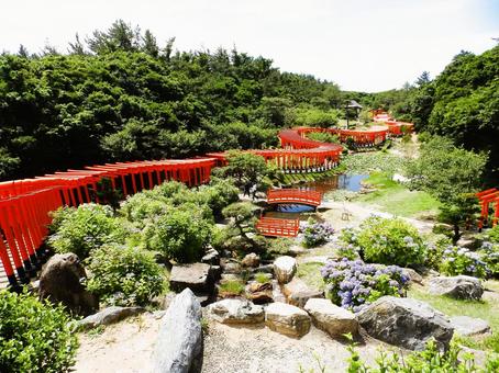 高山稲荷神社 鳥居 高山稲荷神社 鳥居 鳥居,静寂,神社参道の写真素材