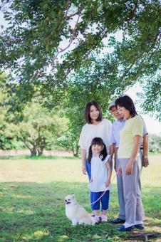 公園で楽しく過ごす家族 公園で楽しく過ごす家族 芝生,休日,白背景の写真素材