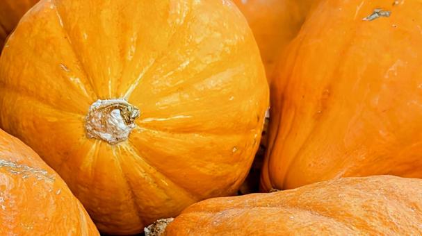 ハロウィンかぼちゃ③ ハロウィンかぼちゃ③の写真
