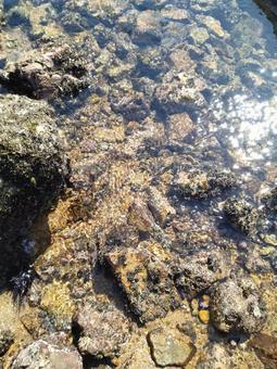 磯部の写真