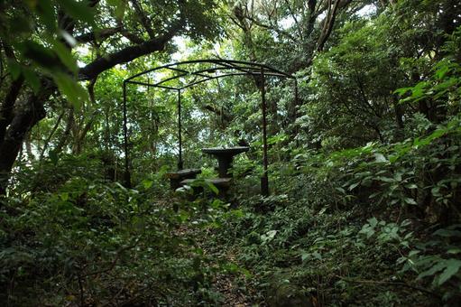 山奥のベンチとテーブル 山奥のベンチとテーブルの写真
