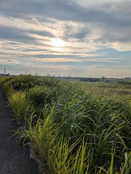夕暮れの太陽と緑地 夕暮れの太陽と緑地 夕暮れ,夕方,緑地の写真素材