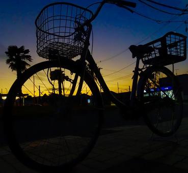 自転車、家路。 自転車、家路。の写真