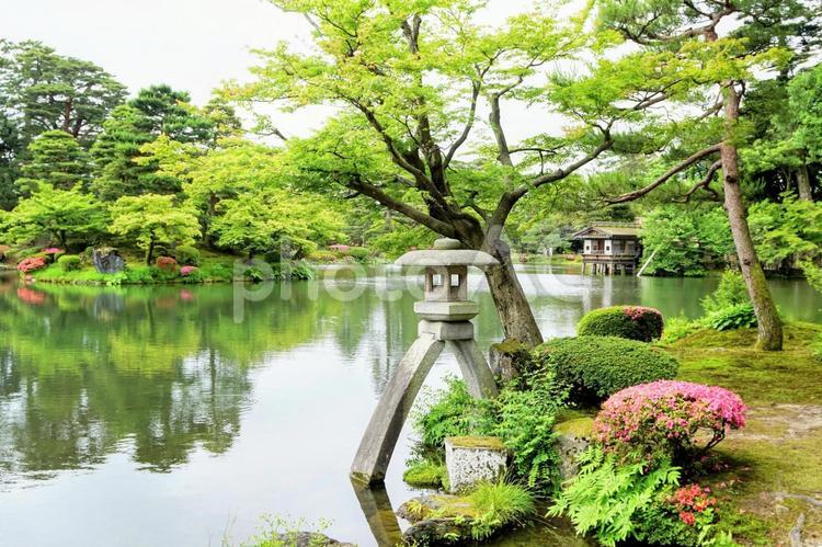 日本三名園の一つ金沢の特別名勝「兼六園」 石川,金沢,兼六園の写真素材