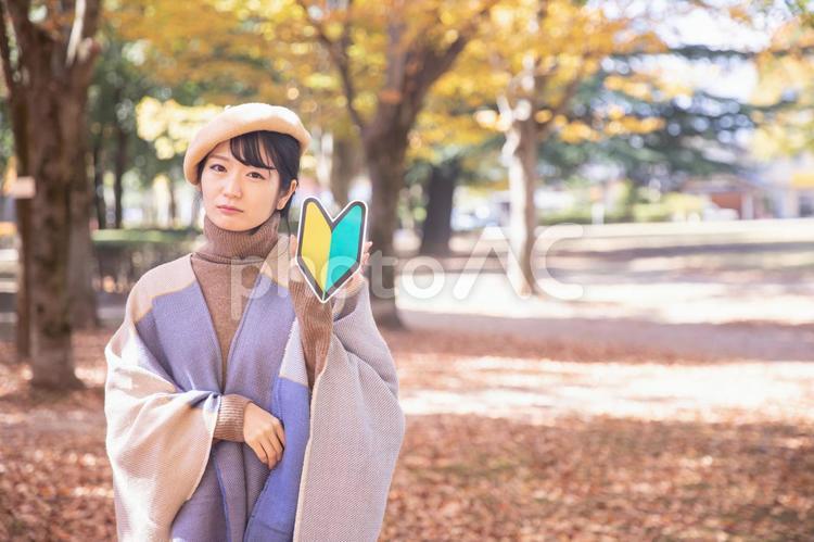 秋の公園にいる初心者マークを持つ女性（困る） 初心者,未経験者,秋の写真素材