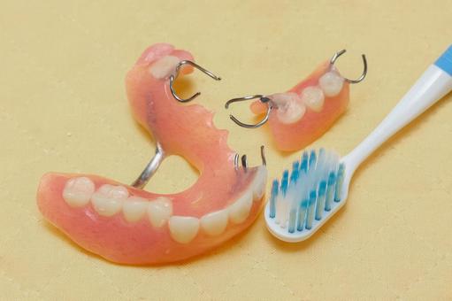 部分入れ歯の手入れ_01 部分入れ歯,入れ歯,歯ブラシの写真素材