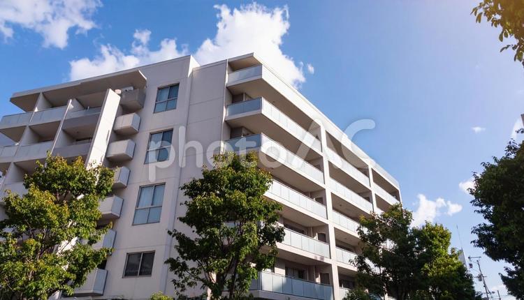 高層マンションを見上げる　青空背景 マンション,不動産,住宅の写真素材