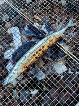 秋刀魚網焼き 秋刀魚網焼きの写真