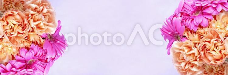 ピンクとオレンジカラーの2種花束素材 花,ピンク,ガーベラの写真素材