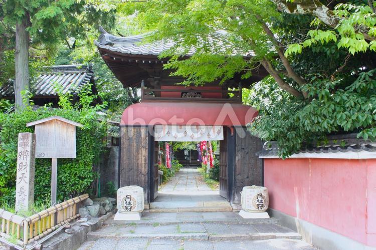 長建寺（島の弁天さん）京都府京都市伏見区 長建寺,島の弁天さん,京都の写真素材
