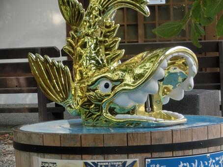 名古屋城の風景-64 名古屋城の風景-64 名古屋城,愛知県名古屋市,金シャチ横丁の写真素材
