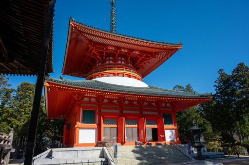 高野山　壇上伽藍　根本大塔 高野山,壇上伽藍,根本大塔の写真素材