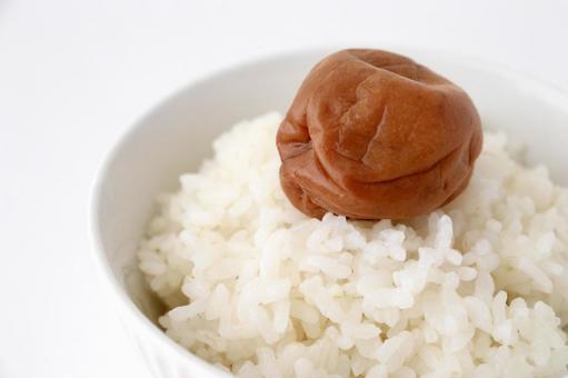 ご飯と梅干し アップ ご飯と梅干し アップの写真