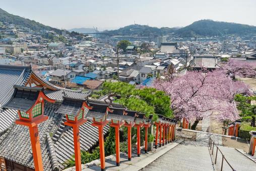 尾道市 摩尼山西國寺の木製灯籠(広島) 尾道市 摩尼山西國寺の木製灯籠(広島) 桜,春,サクラの写真素材