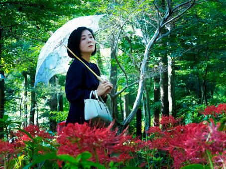 40:彼岸花を静かに眺める女性 40:彼岸花を静かに眺める女性の写真