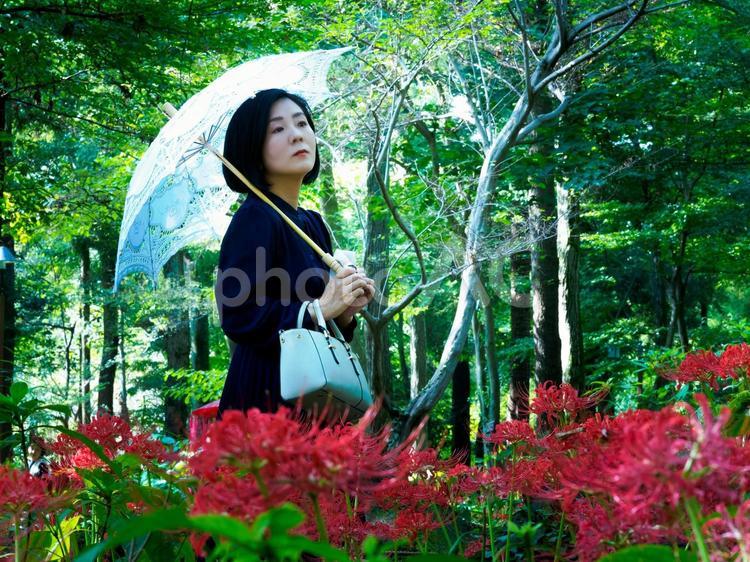 40：彼岸花を静かに眺める女性 彼岸花,ミステリアス,悲しげの写真素材