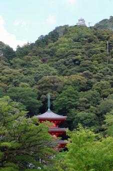 7月下旬の金華山と岐阜城の天守 7月下旬の金華山と岐阜城の天守 金華山,山,岐阜城の写真素材
