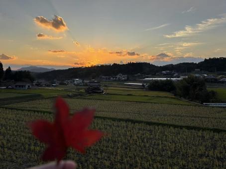 紅葉と夕焼け空 紅葉と夕焼け空の写真