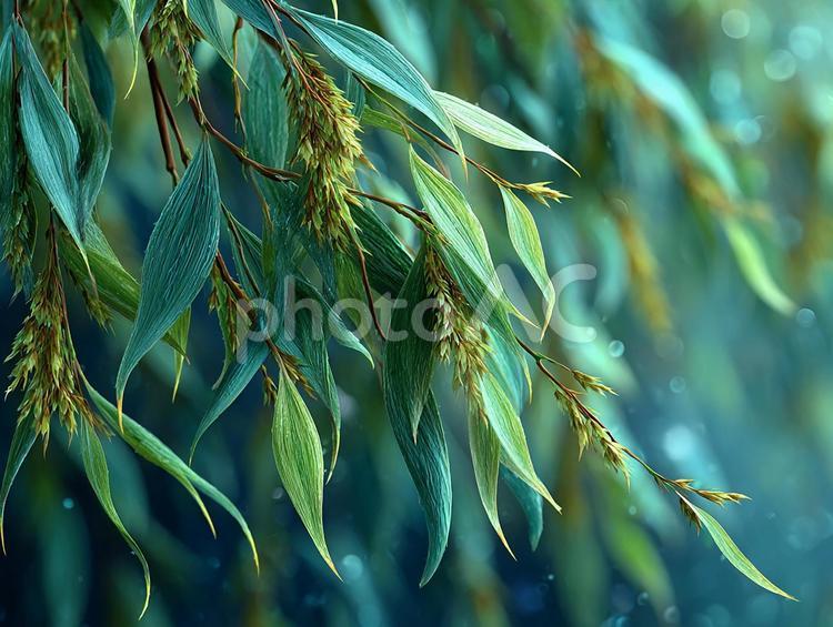 美しい緑の植物のディテール 葉,緑,植物の写真素材