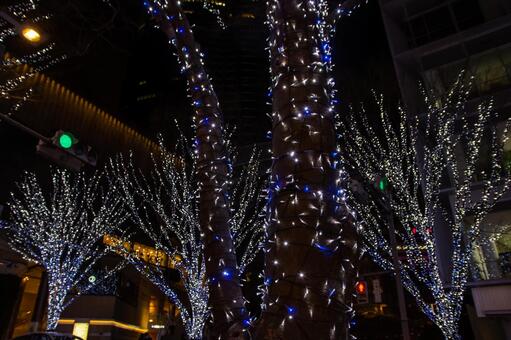 六本木のイルミネーション クリスマス,イルミネーション,ライトアップの写真素材