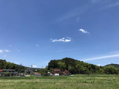 夏空 夏空の写真