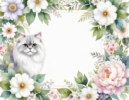 ペルシャ猫と花のフレーム素材 ペルシャ猫と花のフレーム素材の写真