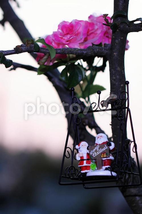 クリスマス待機するサンタクロース 木,フラワー,サンタクロースの写真素材