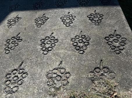 ブドウのじゅうたん ブドウ,果樹園,コンクリートの写真素材