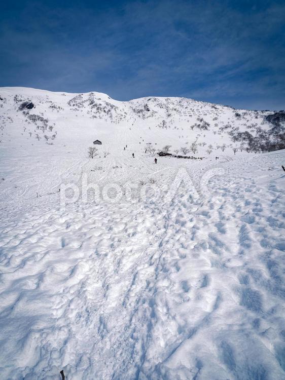 冬の伊吹山の直登ルートの登山道 雪道,雪,冬の写真素材