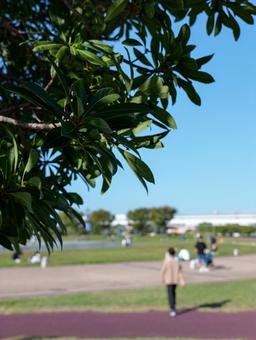 広島みなと公園 広島みなと公園 広島みなと公園,秋,夕方の写真素材