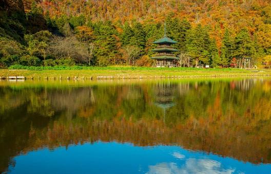 水面に映し出される晩秋の風景 公園,紅葉,黄色の写真素材