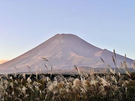 夕陽色に染まる富士山 夕陽色に染まる富士山 富士山,ススキ,秋の写真素材