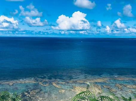 夏の海 夏の海の写真