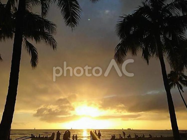 海に沈む夕焼け skyblue,やし,やしのきの写真素材